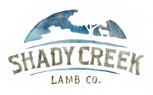 Shady Creek Lamb Co.